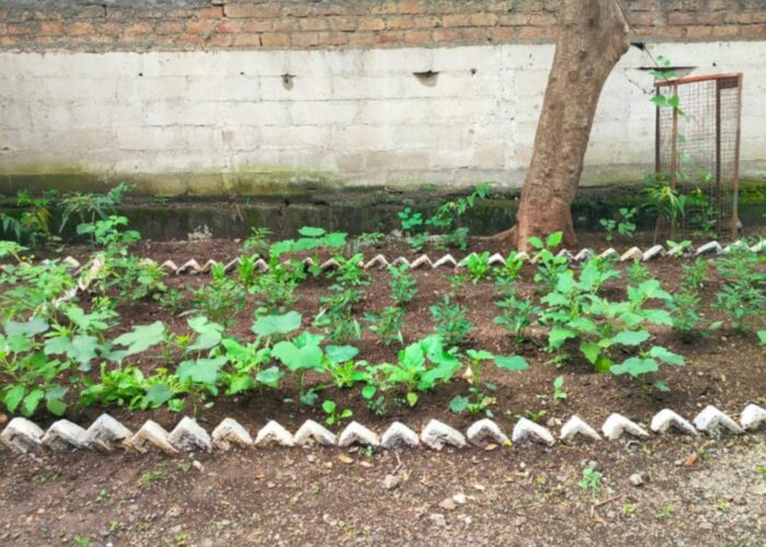 शासकीय उपक्रम_17