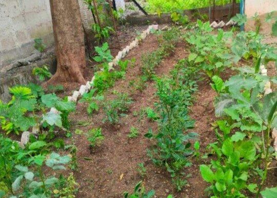 शासकीय उपक्रम_18