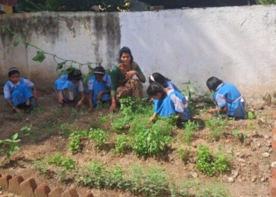 शासकीय उपक्रम_6