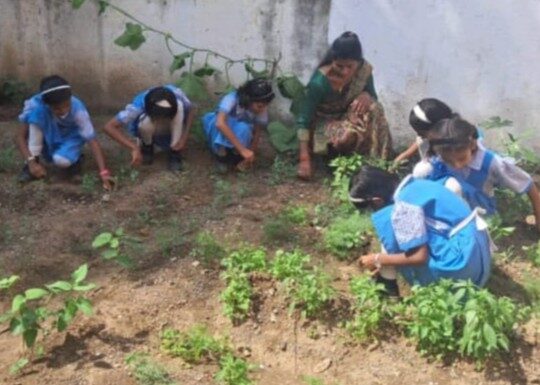 शासकीय उपक्रम_7